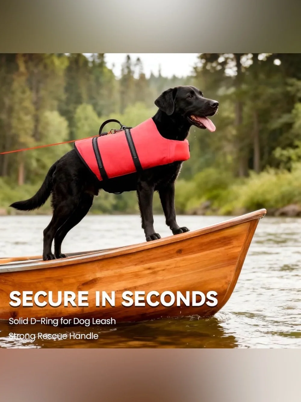 Dog life jacket
